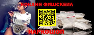 крисы Шелехов