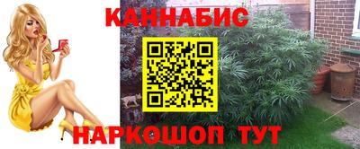 крисы Шелехов