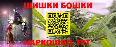 крисы Шелехов