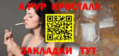 крисы Шелехов