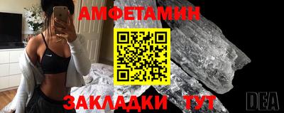 крисы Шелехов