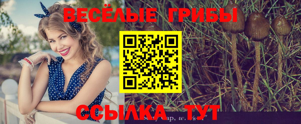 Псилоцибиновые грибы ЛСД Борисоглебск
